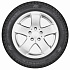 Шина Gislaved Soft Frost 200 205/50 R17 93T Нет FR (2019 г.в.)
