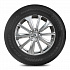 Шина Royal Black Royal Performance 255/50 R19 107V XL